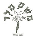 מיץ תפוח סחוט טבעי