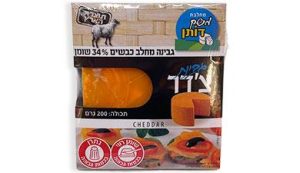 גבינת צ’דר משק דותן