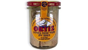 נתחי טונה לבנה בשמן זית