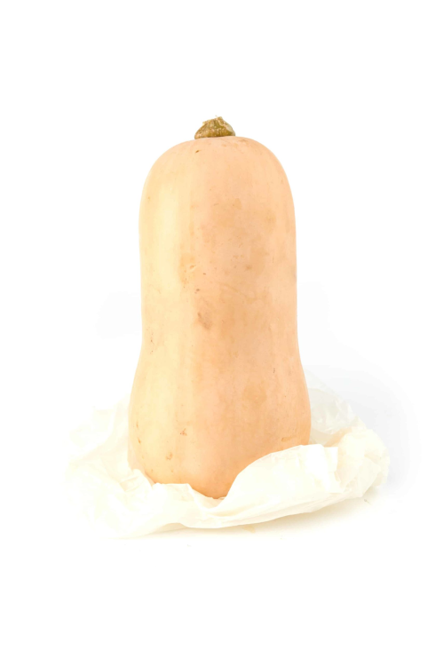 דלורית