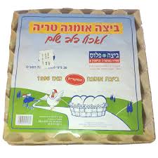 ביצים אומגה 3 – XL