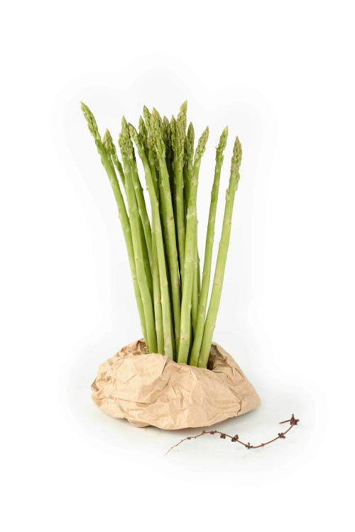 אספרגוס