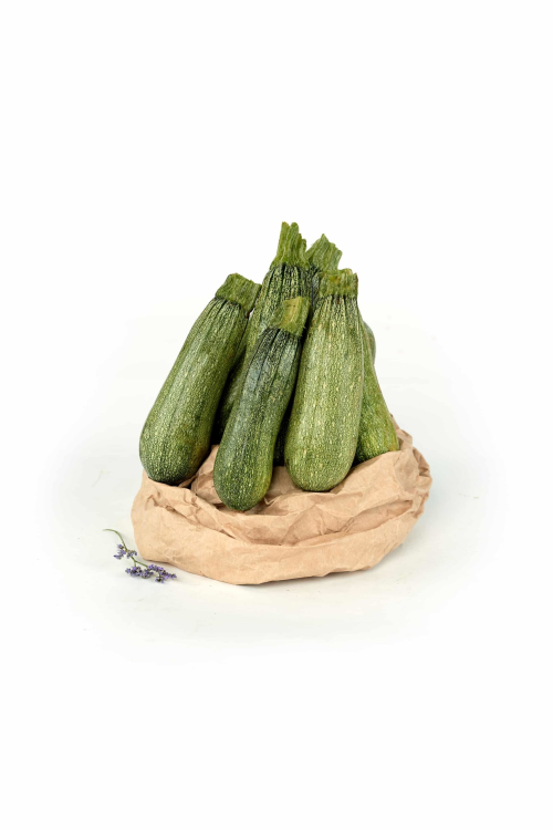 קישוא
