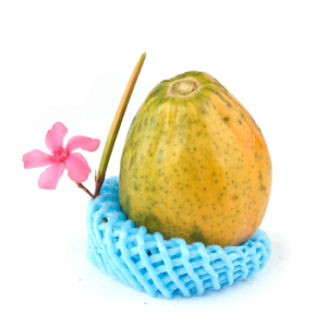 פפאיה כתומה דבש