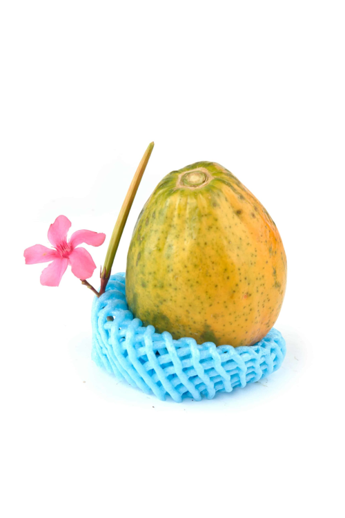 פפאיה כתומה דבש