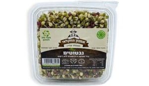 נבטוטים