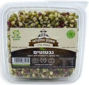 נבטוטים