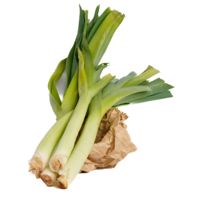 כרישה / פרסה