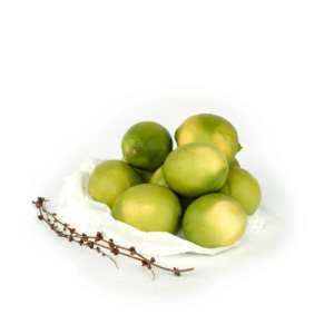 ליים